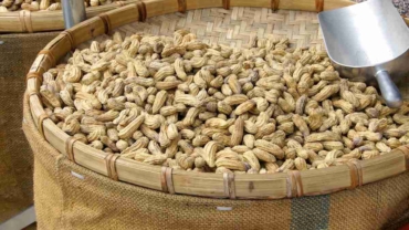 Boiled Peanuts Calories