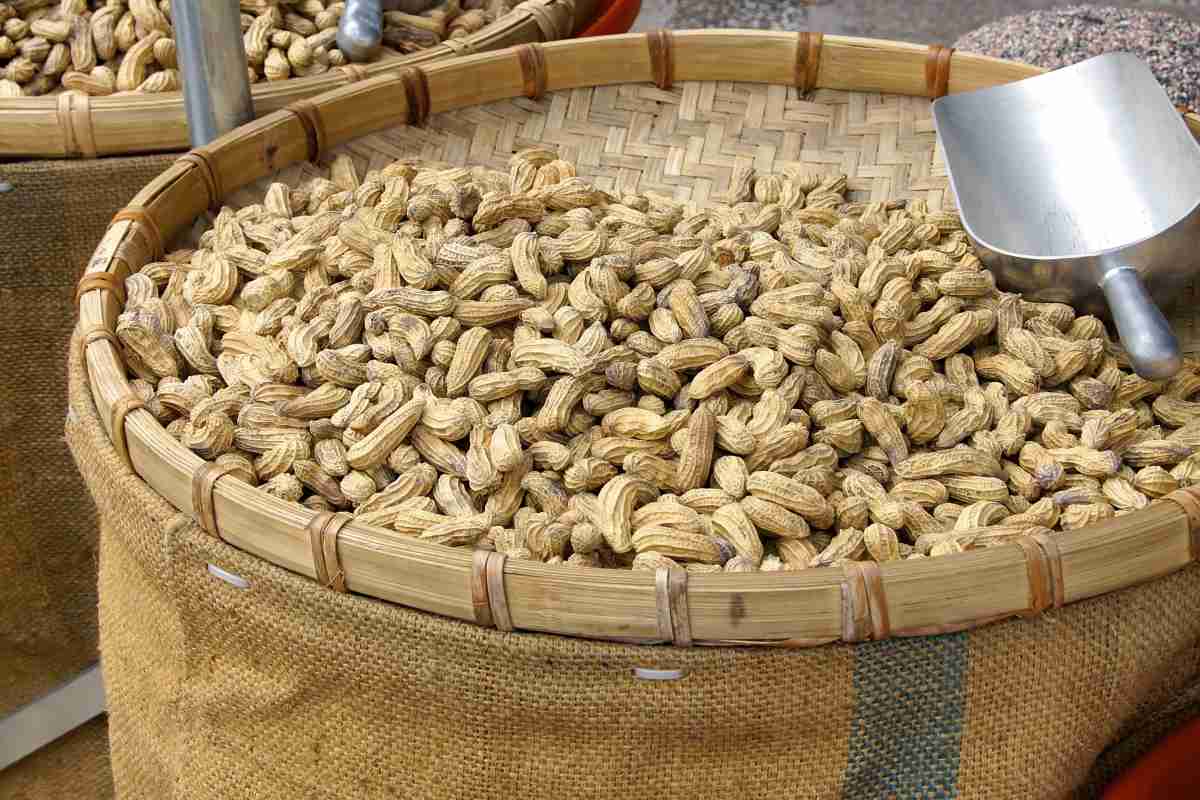 Boiled Peanuts Calories