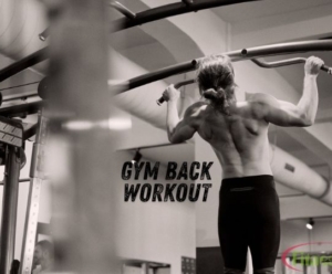 Gym Back Workout