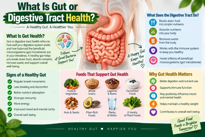 what is gut or digestive tract health